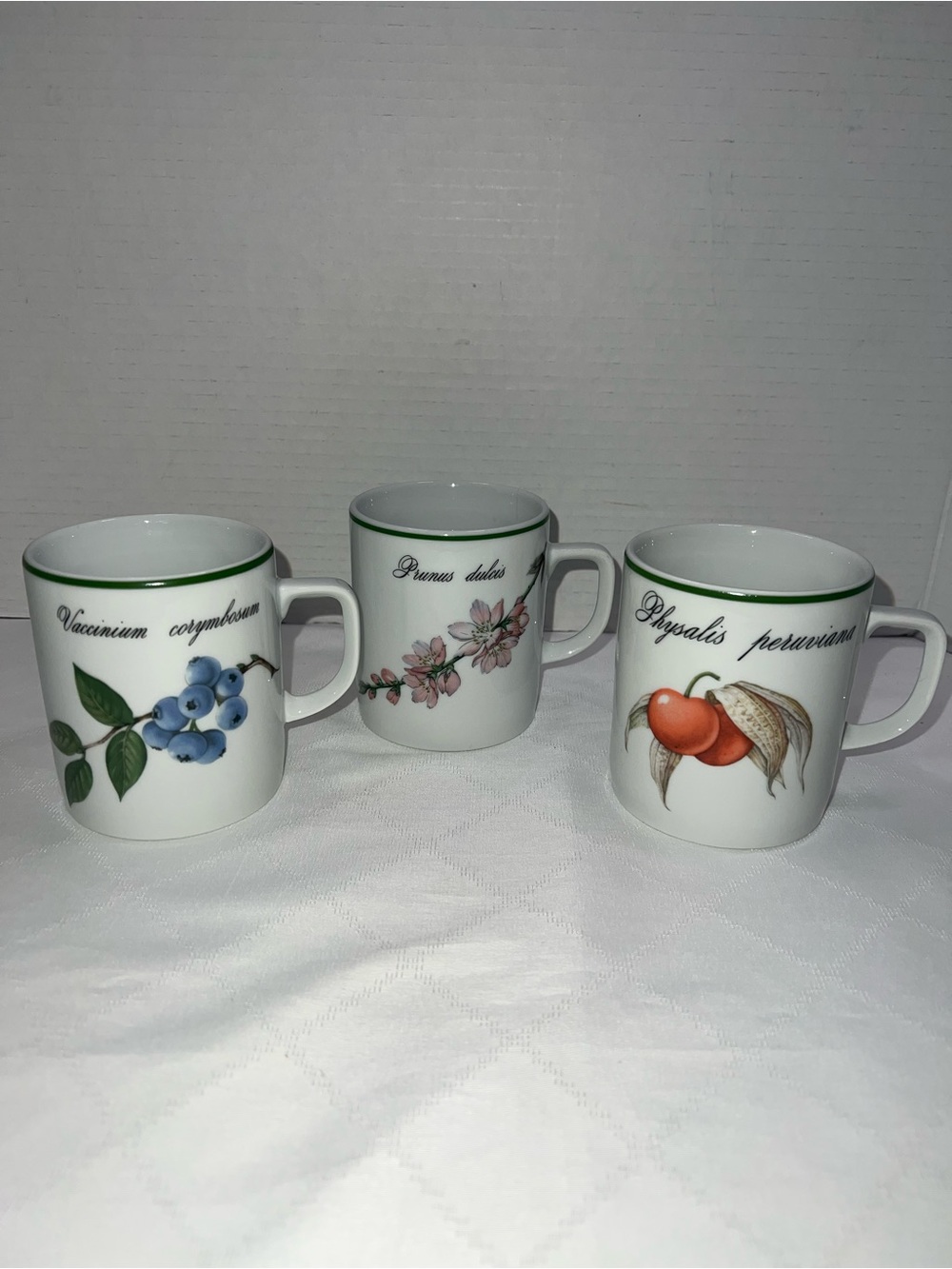 APILCO ELYSIAN GARDENS FRANCE MUG 12 OZ ROUND HANDLE SET OF 3 NEW